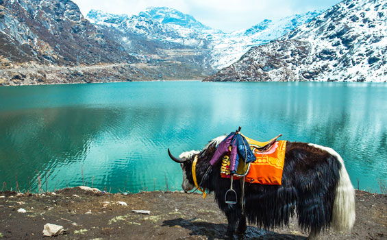 Tsomgo Lake